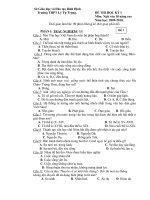 DE+DA  THI HK.I (TN + TL) VAN 10NC. VIP