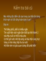 bài 40 đa dạng và đặc điểm chung lớp bò sát