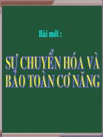 Bảo toàn cơ năng