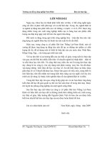 báo cáo thực tập tại công ty cổ phần dệt kim thắng lợi - nam định