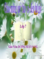 BÀI 17 MỘT SỐ GIUN TRÒN KHÁC VÀ ĐĐ CHUNG CỦA NGÀNH GIUN TRÒN