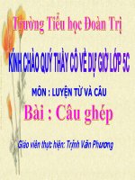 LTVC - Lop 5 -Tuần 19