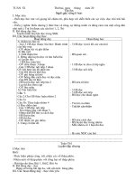 GIAO AN CKTKN L5 T 13