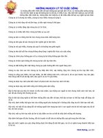 Những nghịch lý từ cuộc sống