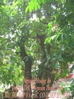 Bài 20 : Hô hấp và các cơ quan hô hấp