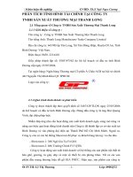 PHÂN TÍCH TÌNH HÌNH TÀI CHÍNH TẠI CÔNG TY TNHH SẢN XUẤT THƯƠNG MẠI THANH LONG