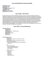 Cisco Certified Network Associate (CCNA)