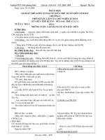 Giáo án sử 8-NH 2010-2011