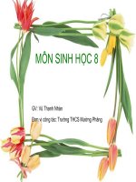 Tiết 10. Hoạt động của cơ