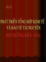 Bài 38 : BIỂN ĐẢO