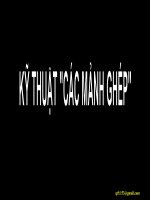 KỸ THUẬT CÁC MẢNH GHÉP