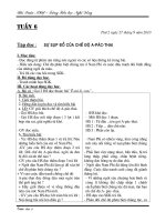 Giáo án 5 tuàn 6 - 2010-2011