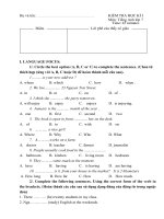 DE THI HOC KI I LOP 7 2010-2011
