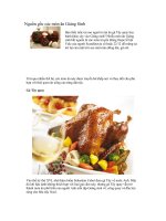 NGUON GOC CAC MON AN GIANG SINH