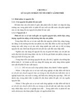 Tổ chức lãnh thổ Việt Nam