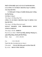 PHÂN TÍCH HIỆU QUẢ SẢN XUẤT KINH DOANH CỦA CÔNG TY CỔ PHẦN THƯƠNG MẠI VÀ ĐÓNG TÀU ĐẠI DƯƠNG