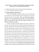 NGUỒN VỐN VÀ CÁC NHÂN TỐ ẢNH HƯỞNG TỚI KHẢ NĂNG HUY ĐỘNG VỐN CỦA NGÂN HÀNG THƯƠNG MẠI