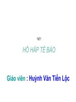HÔ HẤP TẾ BÀO