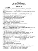 Hướng dẫn ôn tập văn-TV 9 kỳI