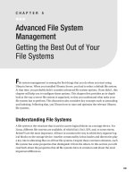 Advanced File System Management