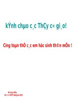 DAY TICH HOP - VAN - TTHCM