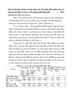 Một số phương hướng và giải pháp chủ yếu nhằm đẩy mạnh công tác tiêu thụ sản phẩm ở công ty Văn phòng phẩm Hồng Hà I