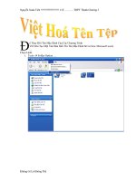 VIỆT HÓA TÊN TỆP CHƯƠNG TRÌNH