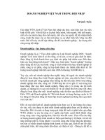 DOANH NGHIỆP VIỆT NAM TRONG HỘI NHẬP