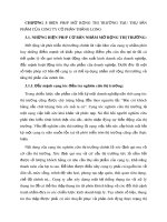 CHƯƠNG 3 BIỆN PHÁP MỞ RỘNG THỊ TRƯỜNG TIÊU THỤ SẢN PHẨM CỦA CÔNG TY CỔ PHẦN THĂNG LONG