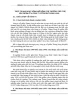 THỰC TRẠNG HOẠT ĐỘNG MỞ RỘNG THỊ TRƯỜNG TIÊU THỤ SẢN PHẨM CỦA CÔNG TY CỔ PHẦN THĂNG LONG