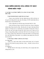 Đặc điểm chung của Công ty máy tính Siêu Việt