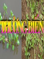 Phuong phap ngien cuu di truyen o nguoi