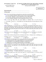 Đề thi chính thức kỳ thi tốt nghiệp THPT 2010 môn Vật lý - Giáo dục thường xuyên (Mã đề thi 247)
