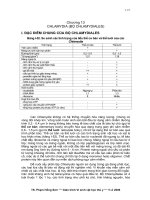 CÁC VIRUS DNA MỘT SỢI (KHÔNG CÓ ÁO NGOÀI)