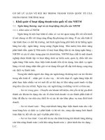 CƠ SỞ LÝ LUẬN VỀ RỦI RO TRONG THANH TOÁN QUỐC TẾ CỦA NGÂN HÀNG THƯƠNG MẠI