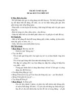 giao an su ky dieu cua doi ban tay