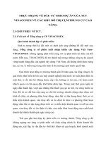 THỰC TRẠNG VỀ ĐẦU TƯ THEO DỰ ÁN CỦA TCT VINACONEX VỀ CÁC KHU ĐÔ THỊ CỤM TRUNG CƯ CAO TẦNG