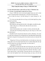 Thực trạng bán hàng ở Công ty TNHH Hải Linh