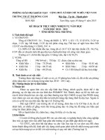 Kế hoạch nhiệm vụ năm học 2010 -2011