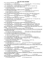 Câu hỏi  tìm hiểu ma túy