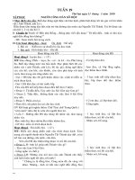 giáo án lớp 5 tuần 19(CKTKN) 2010-2011