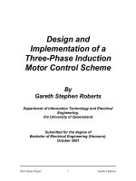 Design and Implementation of a Three-Phase Induction Motor Control Scheme