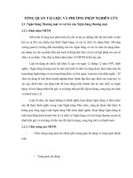 TỔNG QUAN TÀI LIỆU VÀ PHƯƠNG PHÁP NGHIÊN CỨU