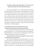 GIẢI PHÁP VÀ KIẾN NGHỊ VỀ ĐIỀU KIỆN VAY VỐN CỦA NGÂN HÀNG LIÊN DOANH LÀO