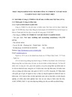 THỰC TRẠNG KIỂM TOÁN TSCĐ DO CÔNG TY TNHH TƯ VẤN KẾ TOÁN VÀ KIỂM TOÁN VIỆT NAM THỰC HIỆN