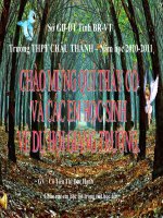 tiếht 29. Dãy điện hóa của kim loại.