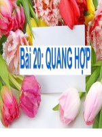 quang hợp (tiết 1)