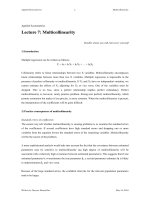 KInh tế ứng dụng_ Lecture 7: Multicollinearity