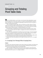 Grouping and Totaling Pivot Table Data.