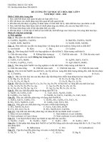 De cuong on tap hoa 9 HKI(10-11)